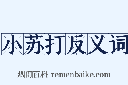 小苏打反义词是什么意思的图片